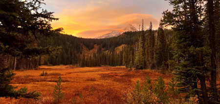 Mountain meadow sunset